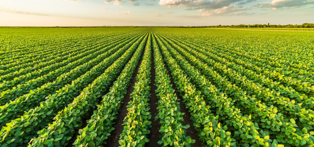 Biocontrol - Groupe Berkem