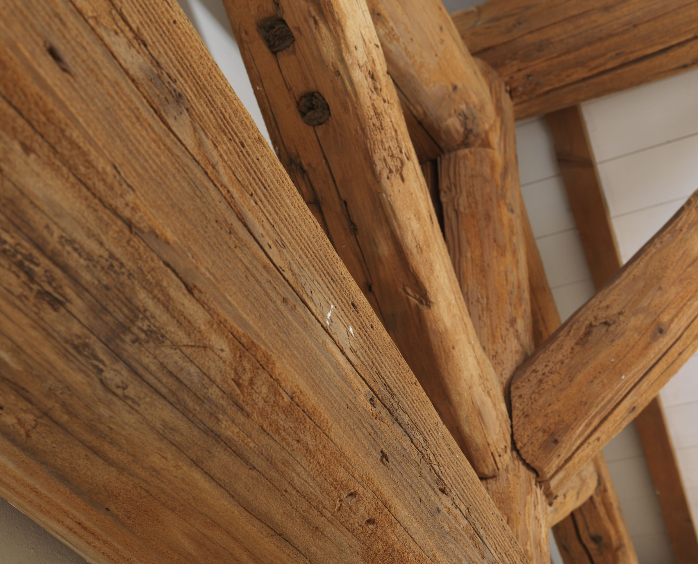 Lumber with traces of wood-boring insects