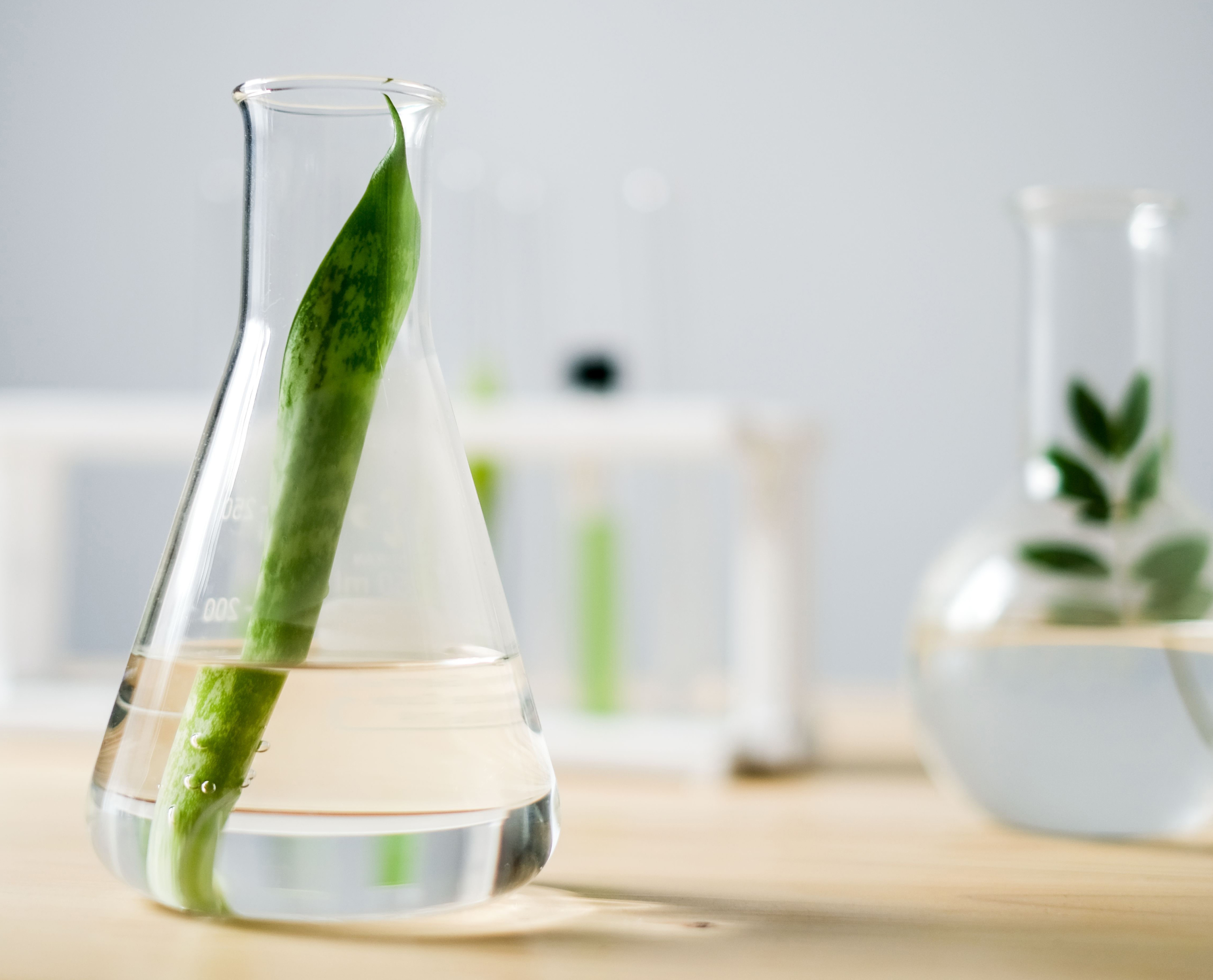 Formulierung einer chemischen Lösung mit SYNERKEM