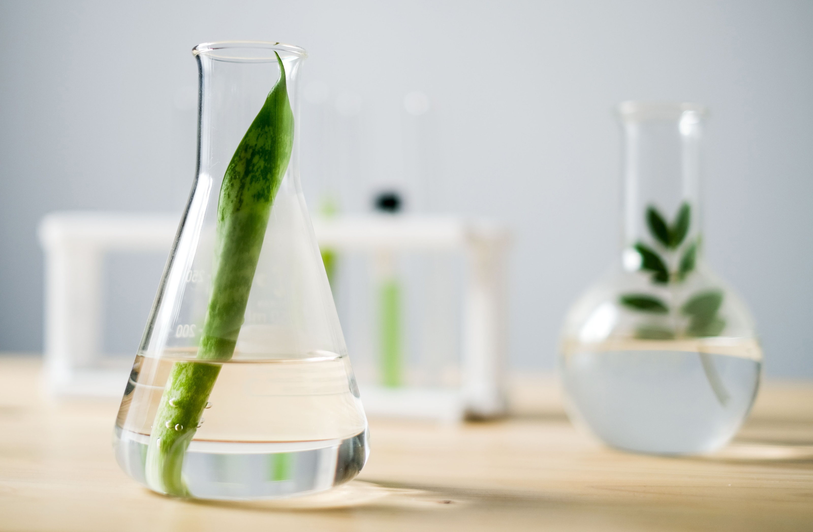 formulação de uma solução química com Synerkem