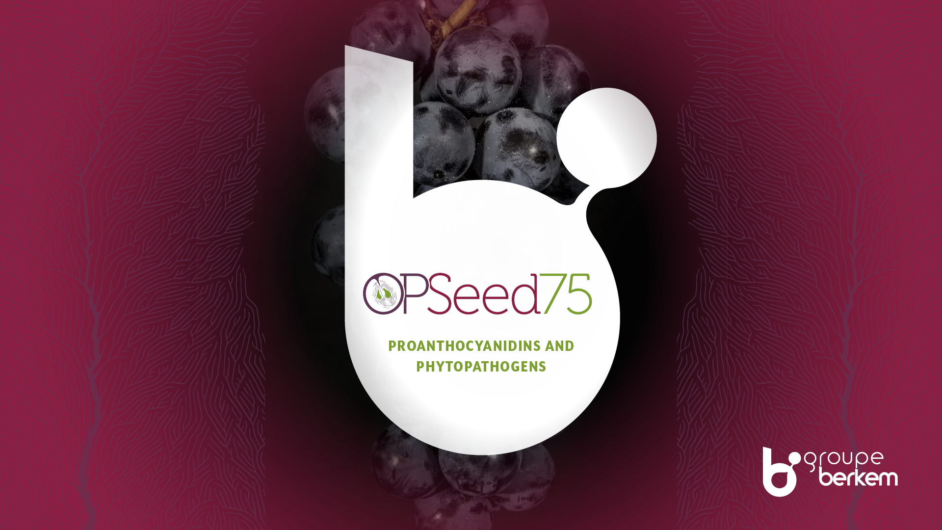 La technologie derrière Opseed75
